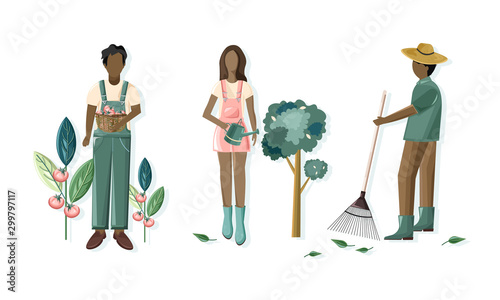 People doing gardening activities. Raking, harvesting tomatoes and watering t...