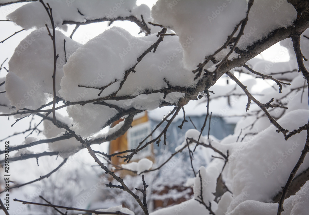 The first snow fell in the old apple garden The first snow fell in the old apple garden