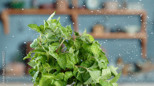 Fresh and healthy vegetables