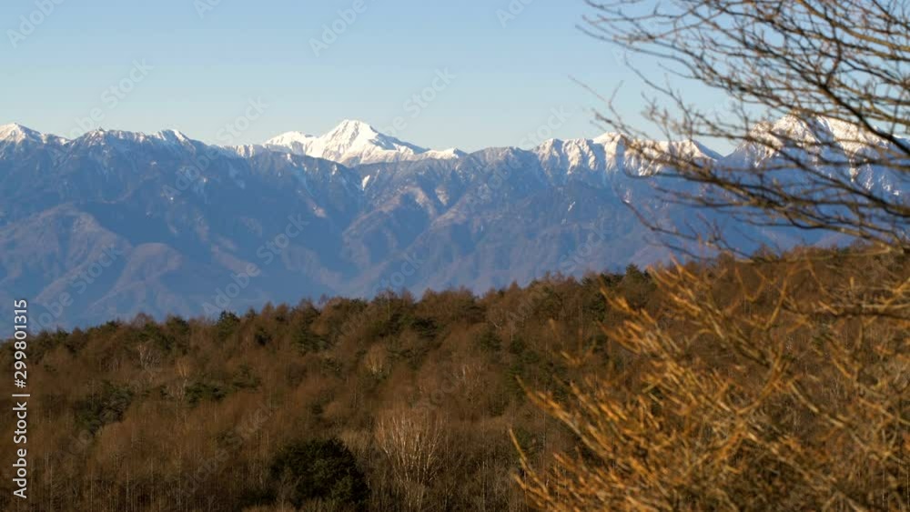 Tracking Shot of Alpine Peaks thru Tree at Yatsugatake in Japan Tracking Shot of Alpine Peaks thru Tree at Yatsugatake in Japan