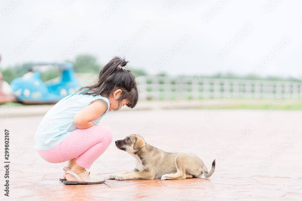 First meet with Happy child and domestic dog.Portrait girl with pet.Dog is best friend.