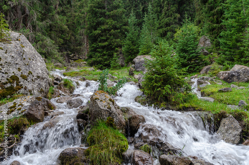 waterfall in the forest