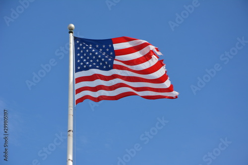 usa flag