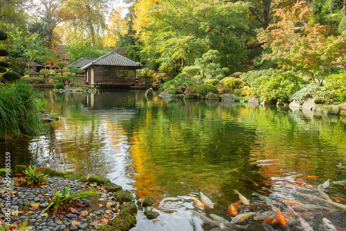  Fantastic autumn in Japanese garden in Kaiserslautern.