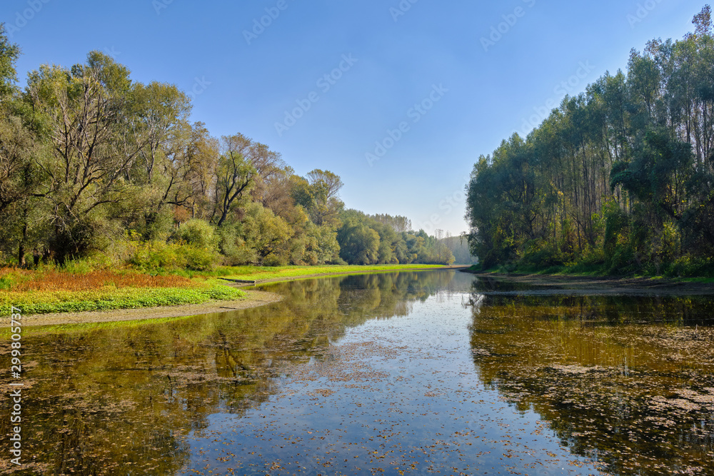 Special Nature Reserve Koviljsko Petrovaradinski Rit (Kovilj – Petrovaradin marshes), a complex of marshes and forest ecosystems on the Danube river in Backa region of Vojvodina, northern Serbia
