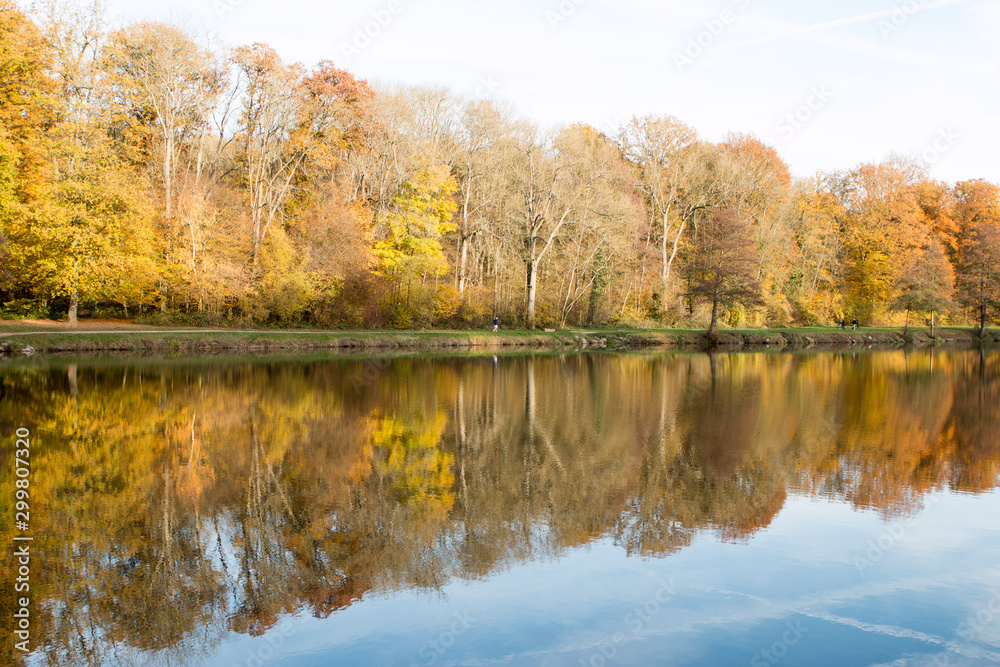 Reflets de Forêt en automne Reflets de Forêt en automne