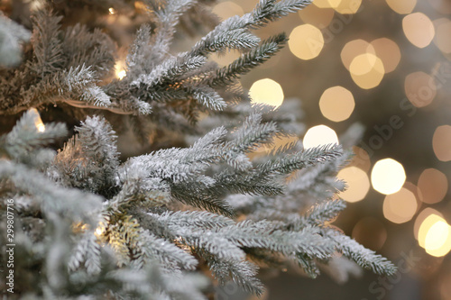 Fir tree covered with snow. Defocused lights background