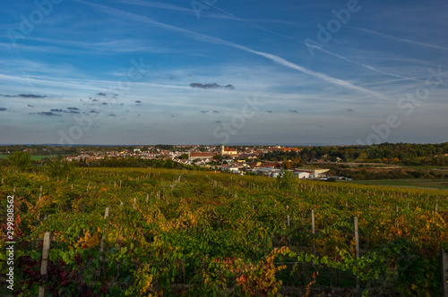 Landscape view on South Moravian town Valtice  Czech Republic. Looking through extensive vineyards.