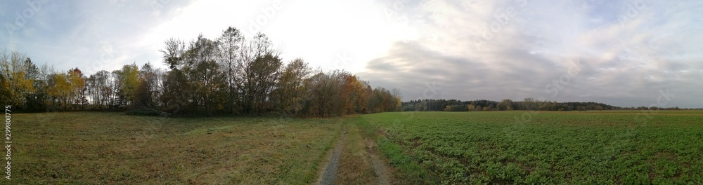 landscape with green field and blue sky landscape with green field and blue sky