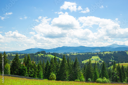 Amazing Panoramic View of the Mighty Carpathians Mountains and Beautiful Blue Sky Background.