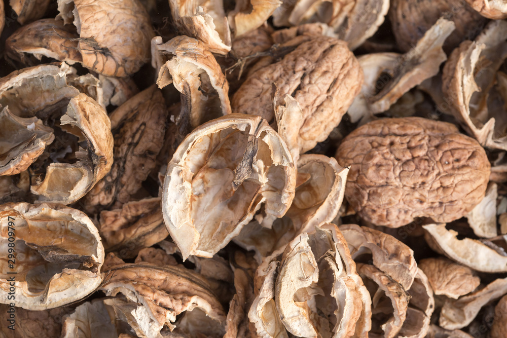 Broken walnut shells. Pieces of nutshells. Nutshell texture. Broken walnut shells. Pieces of nutshells. Nutshell texture.