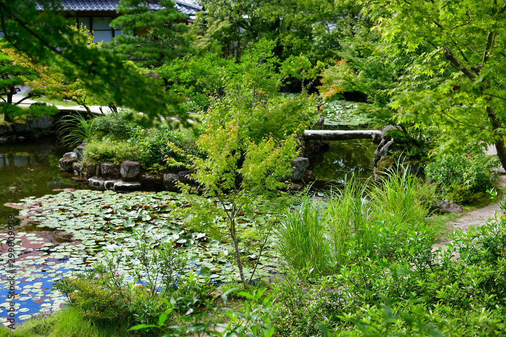 Isuien Neiraku Garden, Nara Park, Nara, Honshu, Japan Isuien Neiraku Garden, Nara Park, Nara, Honshu, Japan