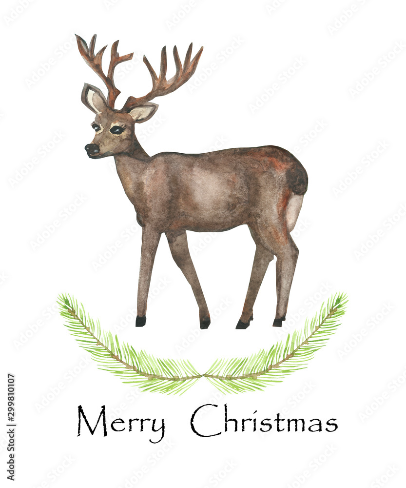 Obraz Akwarela ręcznie malowane natura zimowe wakacje celebracja skład z dzikich zwierząt brązowy jeleń z rogami, rośliny zielone gałęzie jodły i Wesołych Świąt Bożego Narodzenia tekst na białym tle