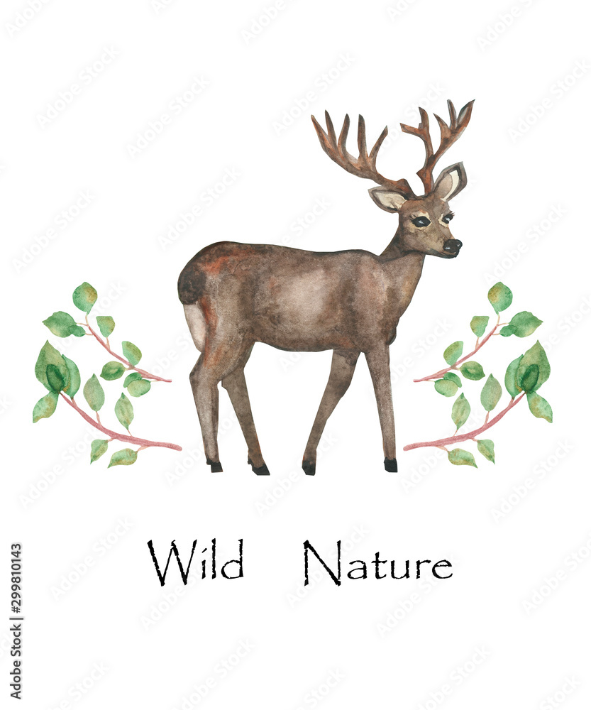 Obraz Akwarela ręcznie malowana kompozycja natura z dzikim zwierzęciem brązowy jeleń z rogami i zielonymi gałązkami na białym tle na białym tle z tekstem, modna ilustracja do projektowania ekologicznego