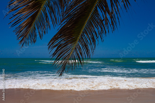 Fototapeta Naklejka Na Ścianę i Meble -  Beautiful lonely beach in northern Brazil. Calm coastal landscape
