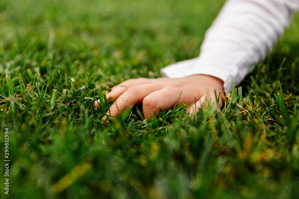 mano de niño agarrando cesped en el parque mano de niño agarrando cesped en el parque