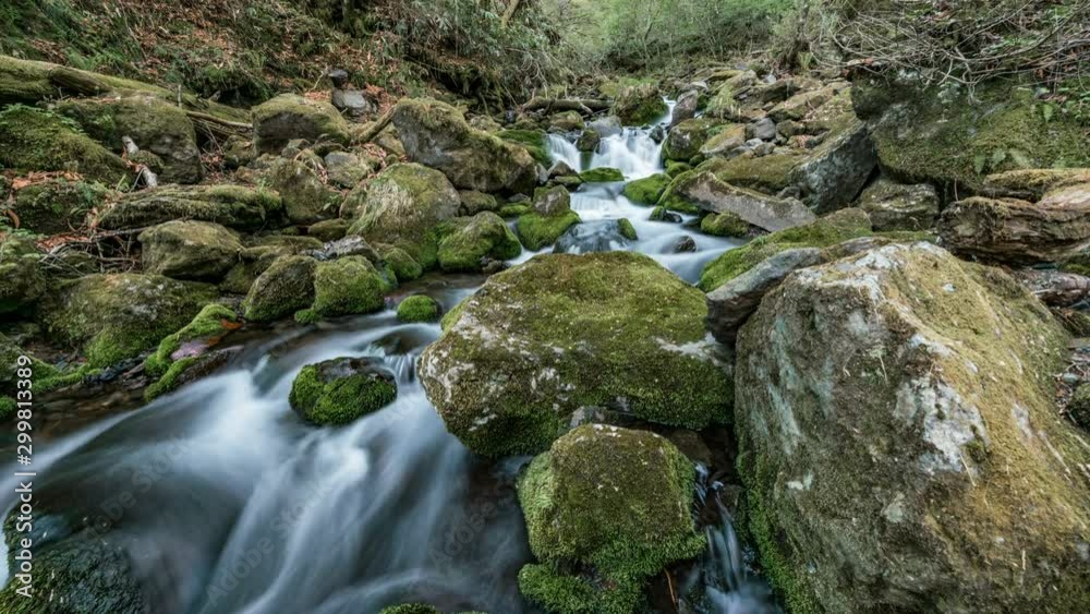Timelapse Tracking Shot of Silky Stream through Mossy Rocks in Japan Timelapse Tracking Shot of Silky Stream through Mossy Rocks in Japan