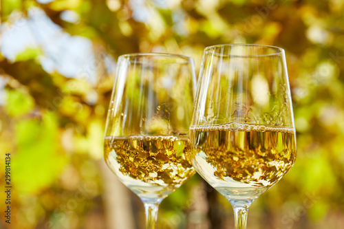 Two glasses full of white wine in autumn vineyard