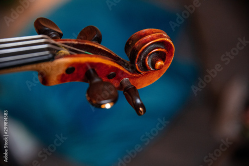 Violin volute photo