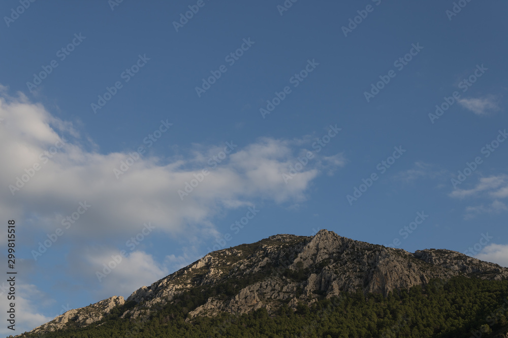 rocky mountain with pine trees and clouds