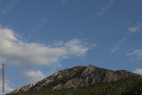 rocky mountain with pine trees and clouds