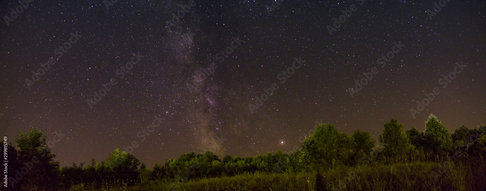 milky way above forest