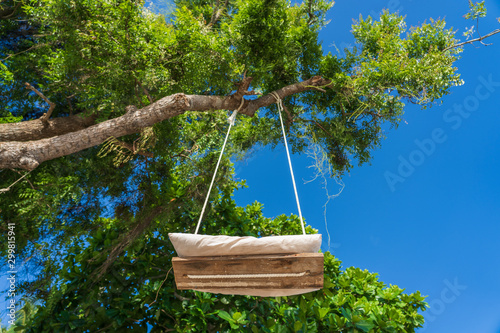 A swing on a rope hangs on a tropical tree on the beach of Zanzibar island, Tanzania, east Africa. Bottom view photo