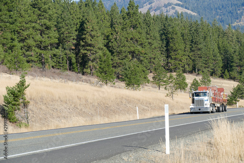 Semi truck and trailer climbing towards Blewett Pass photo