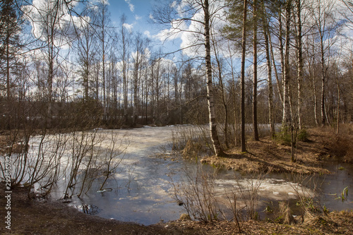 the pond is covered with ice, early spring