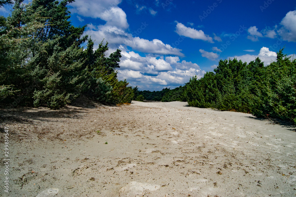 Vista della spiaggia e delle dune di Is Solinas Vista della spiaggia e delle dune di Is Solinas