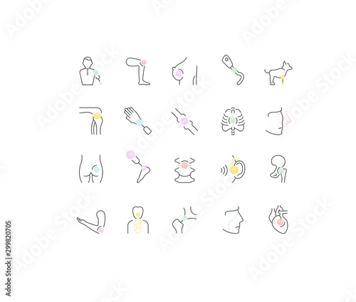 Set Vector Line Icons of Prosthetics.