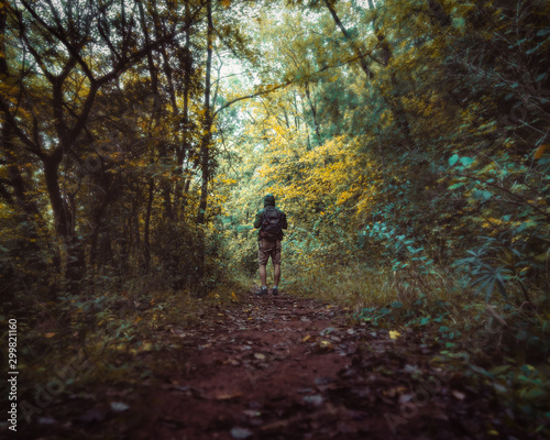 Hiker rear view going forward in forest path