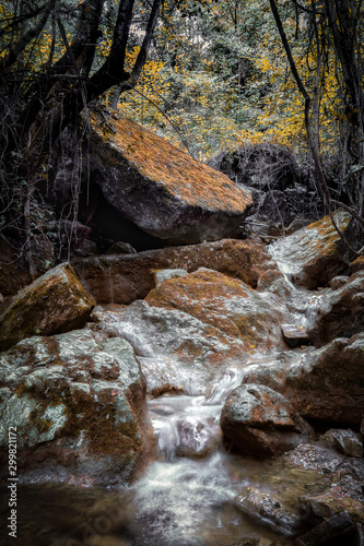 waterfall in the forest