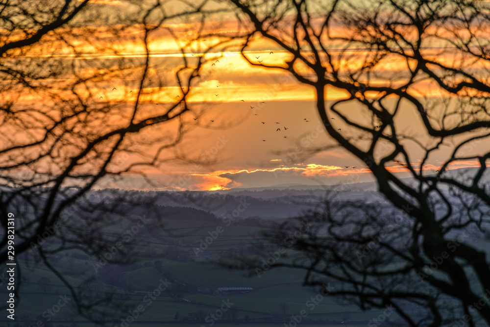 Sunset migration Sunset migration