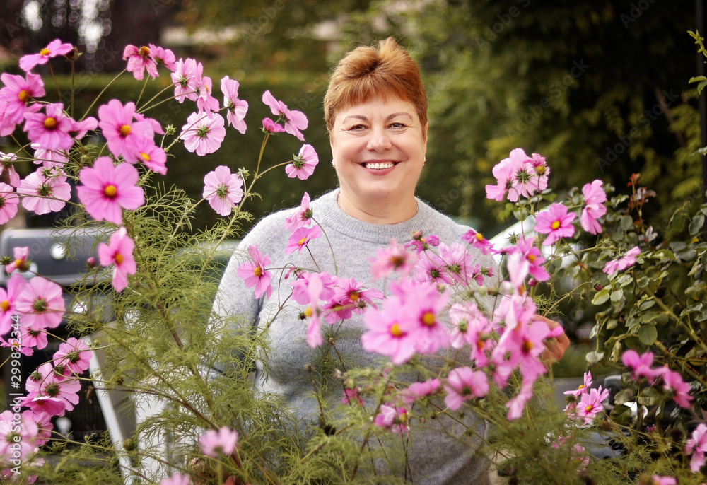 Beautiful adult senior woman smiling looking at camera through blooming pink cosmos flowers while gardening in her garden. Pensioner hobby. Active positive happy senior lifestyle