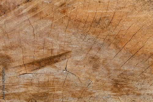 Old Weathered Brownich Cut Wood Texture