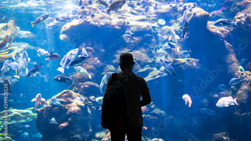 Photography Silhouette of an unidentified man watching the fish swimming in oceanarium