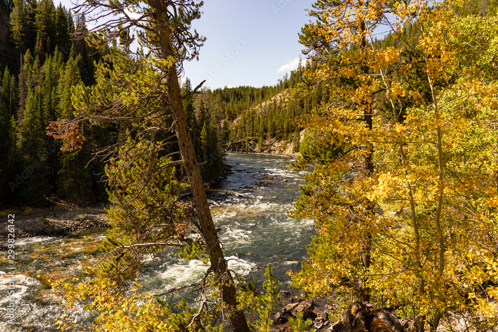 Yellowstone River im Herbst Yellowstone River im Herbst