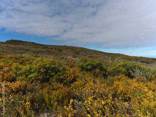 nature montagne