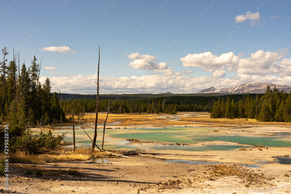 Ebene im Norris Geyser Basin Yellowstone