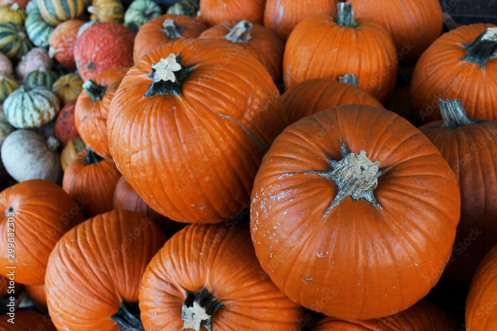 Pumpkins for the celebration of Halloween on the streets in the city in shops and holiday fairs._4 Pumpkins for the celebration of Halloween on the streets in the city in shops and holiday fairs._4