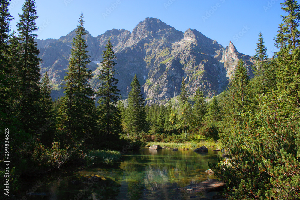 Maly Zabi Staw (Little Frog Lake) near Morskie Oko in the Tatra Mountains, Poland