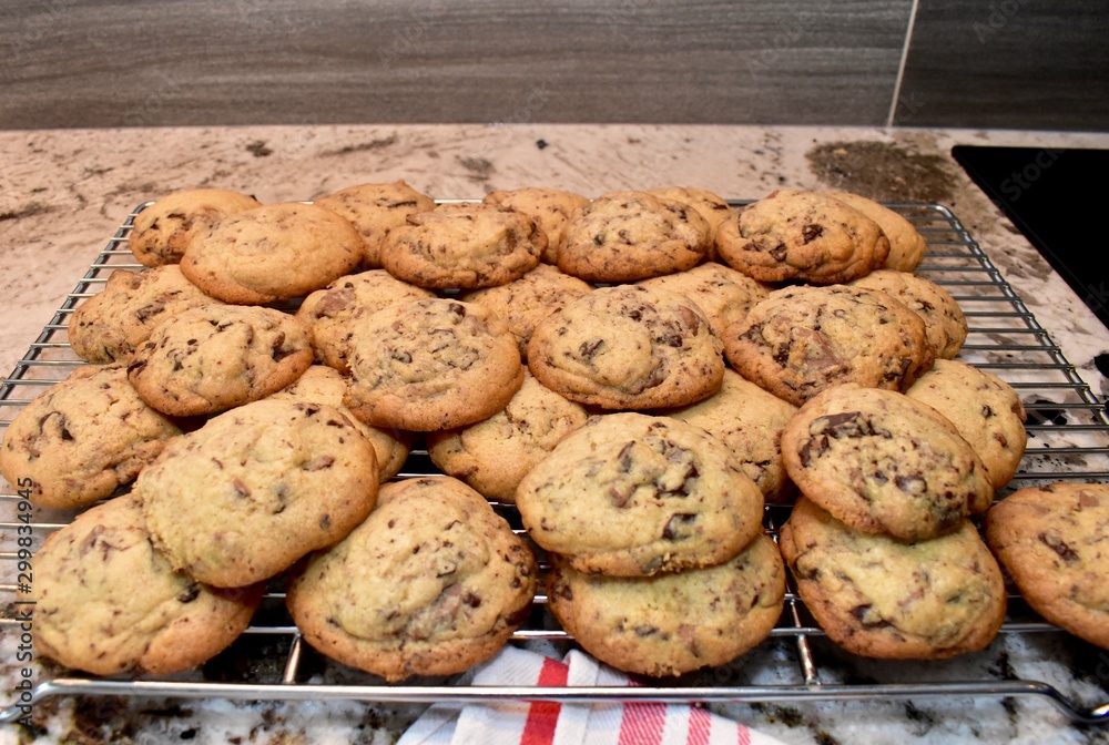 Homemade chocolate chip cookies fresh from oven Homemade chocolate chip cookies fresh from oven