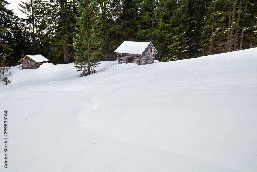 old wooden hunt nuts in snowy mountains