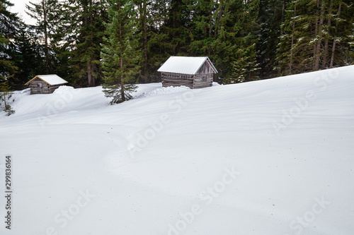 old wooden hunt nuts in snowy mountains © Olha Rohulya