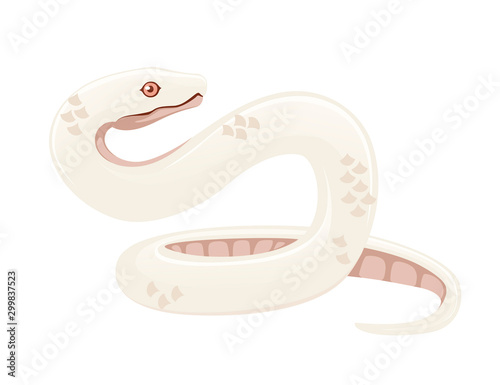 White albino snake cartoon animal design flat vector illustration isolated on white background