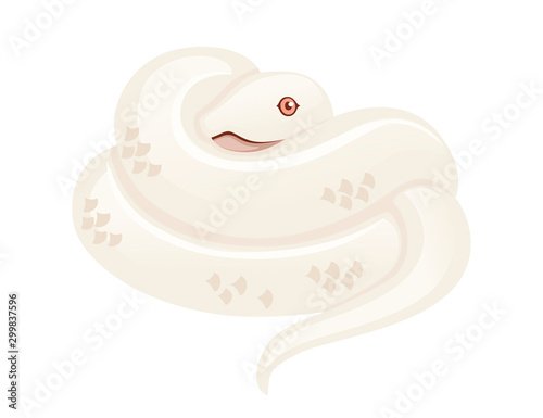 White albino snake cartoon animal design flat vector illustration isolated on white background