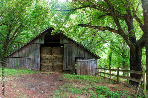 An old weathered barn filled with hay bales is in a green forest © Robin Keefe