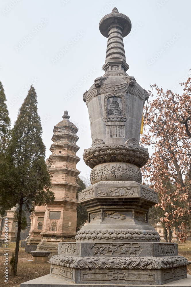 Pagoda Forest at Shaolin Temple, one of the largest pagoda forests in China,  inscribed as a UNESCO World Heritage Site., Luoyang, Henan province, China