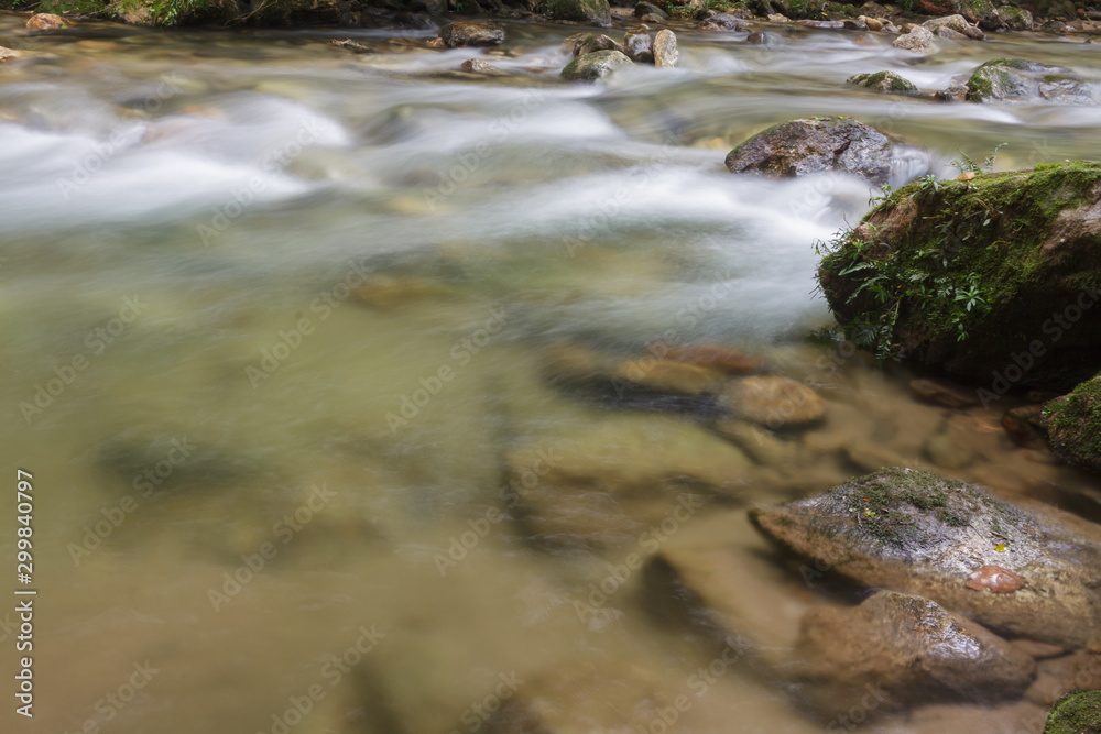 Naklejka premium Rio na Floresta